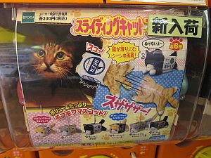 スライディングキャットマスコット_e0080345_1754913.jpg