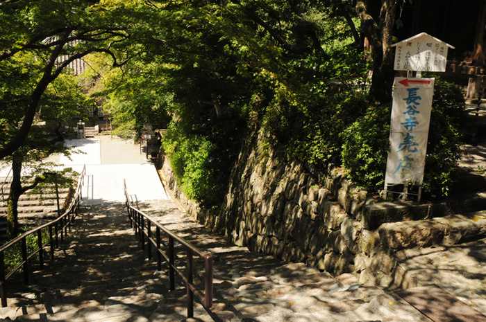 奈良のポコ旅：#3 長谷寺グレイトビュウ [本堂+礼堂]。_d0018646_19484767.jpg