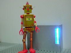 2010年9月27日(月) 秋の虫_e0005548_014793.jpg