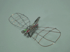 2010年9月27日(月) 秋の虫_e0005548_022093.gif