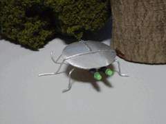 2010年9月27日(月) 秋の虫_e0005548_02741.gif