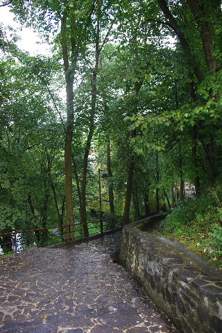 c0011649_5592783.jpg