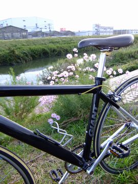 トーキョーバイク カスタム!_e0140354_19185612.jpg