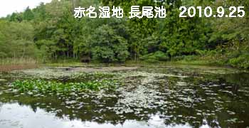 e0149157_20121267.jpg