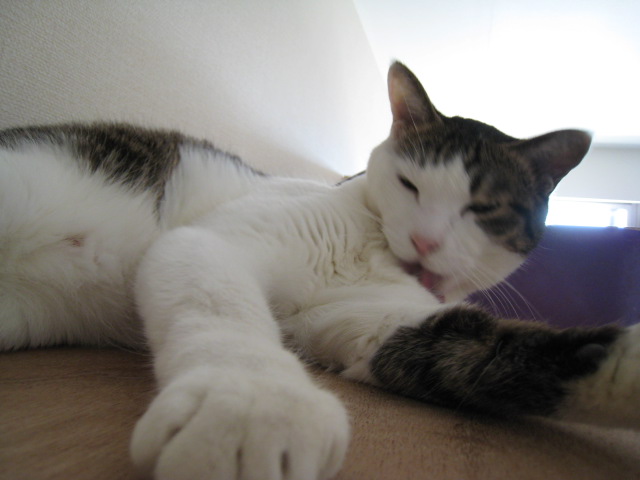 f0135859_2210079.jpg