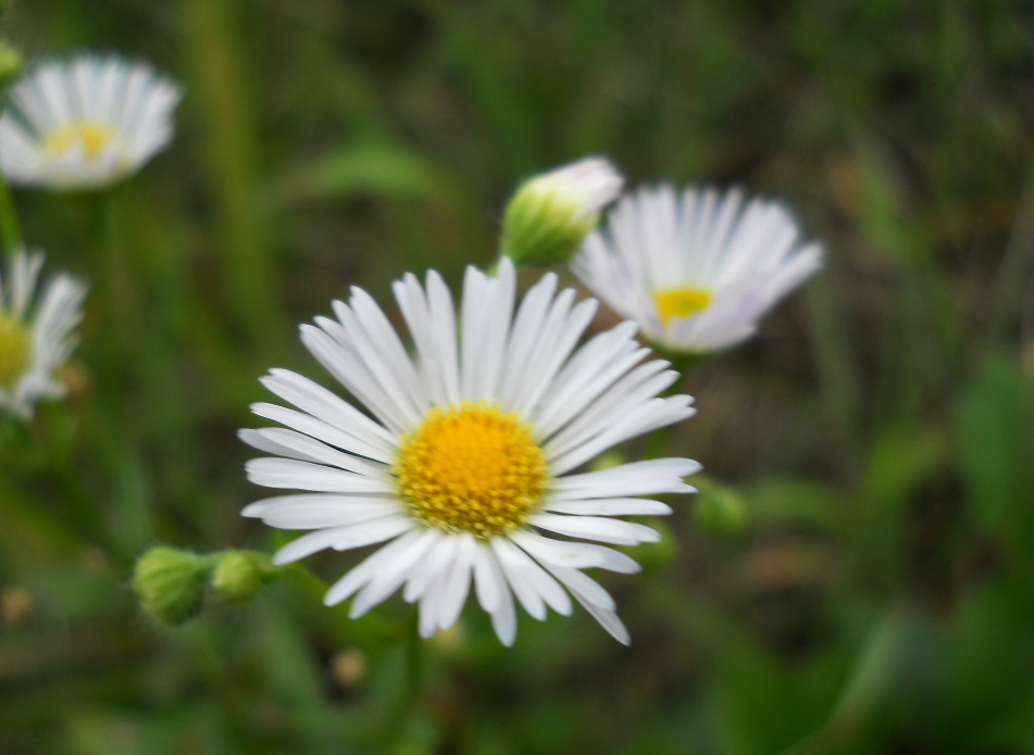 f0213861_13315713.jpg