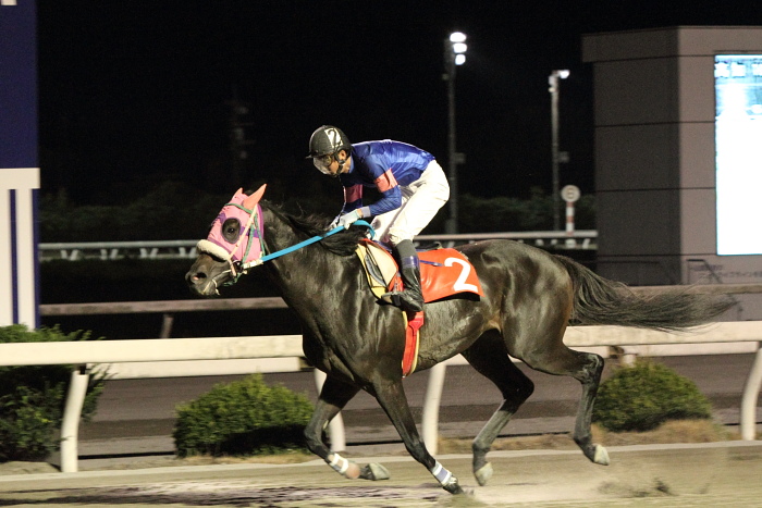 2010年9月26日（日） 高知競馬 10R 室戸海洋深層水特別 B-1 選抜馬_a0077663_1512141.jpg