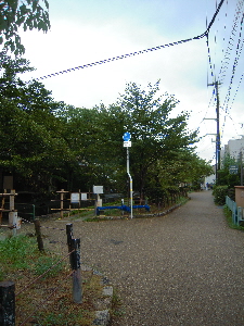 旅日記-17 「哲学の道」_e0033570_2373998.jpg