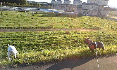 b0056476_12222438.jpg