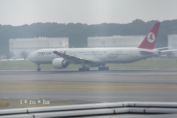 a0152596_14424597.jpg