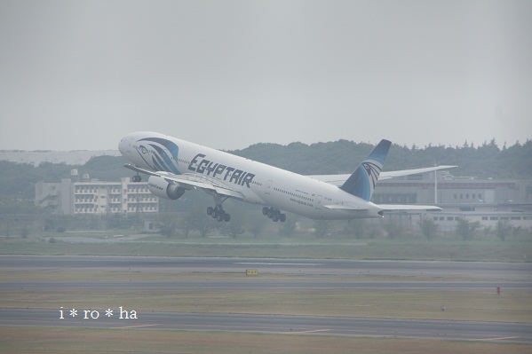 a0152596_1442784.jpg