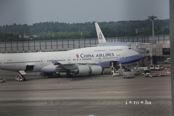 a0152596_1446666.jpg