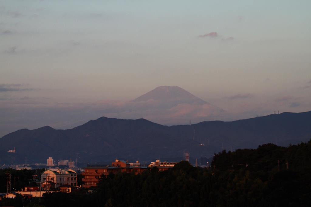 名残の夏/富士山初冠雪_b0024798_631362.jpg