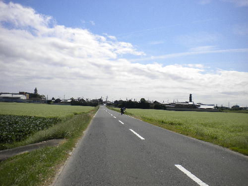 e0179098_1051286.jpg