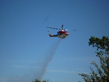 d0008402_02738.jpg