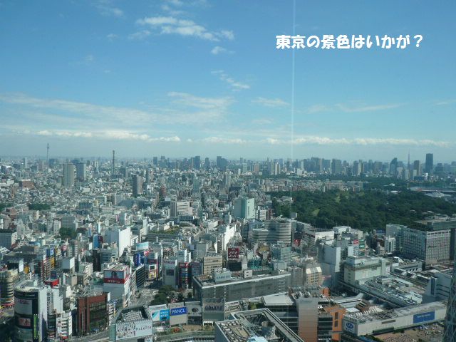 e0094407_11413.jpg