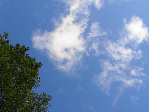 e0123808_07410.jpg
