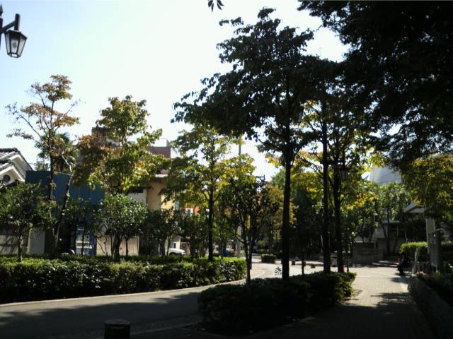 f0024708_3102726.jpg