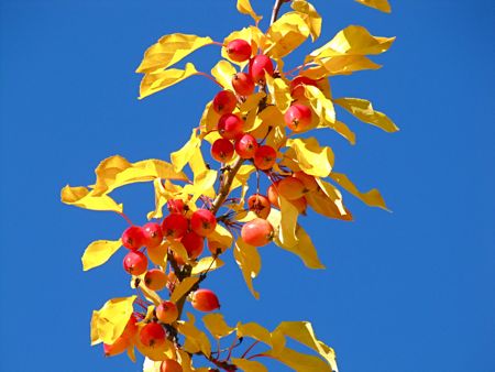 b0051109_9214845.jpg