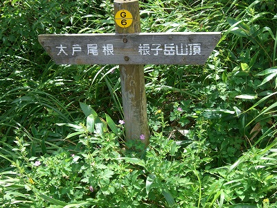 根子岳東峰登山(2)_d0116009_2184943.jpg