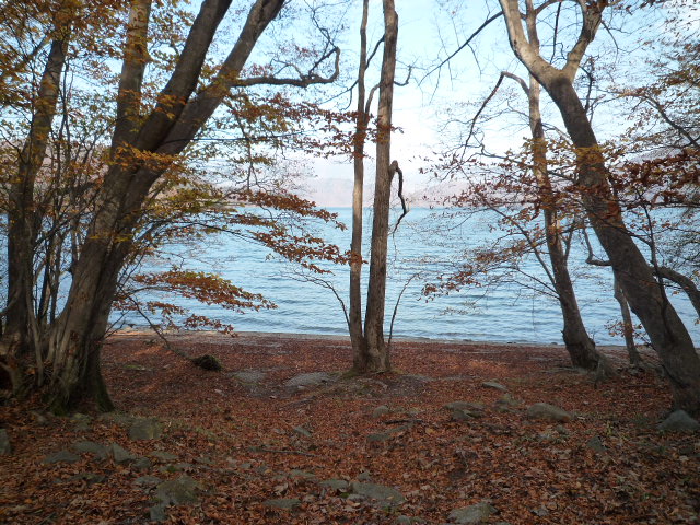 b0176010_10361450.jpg