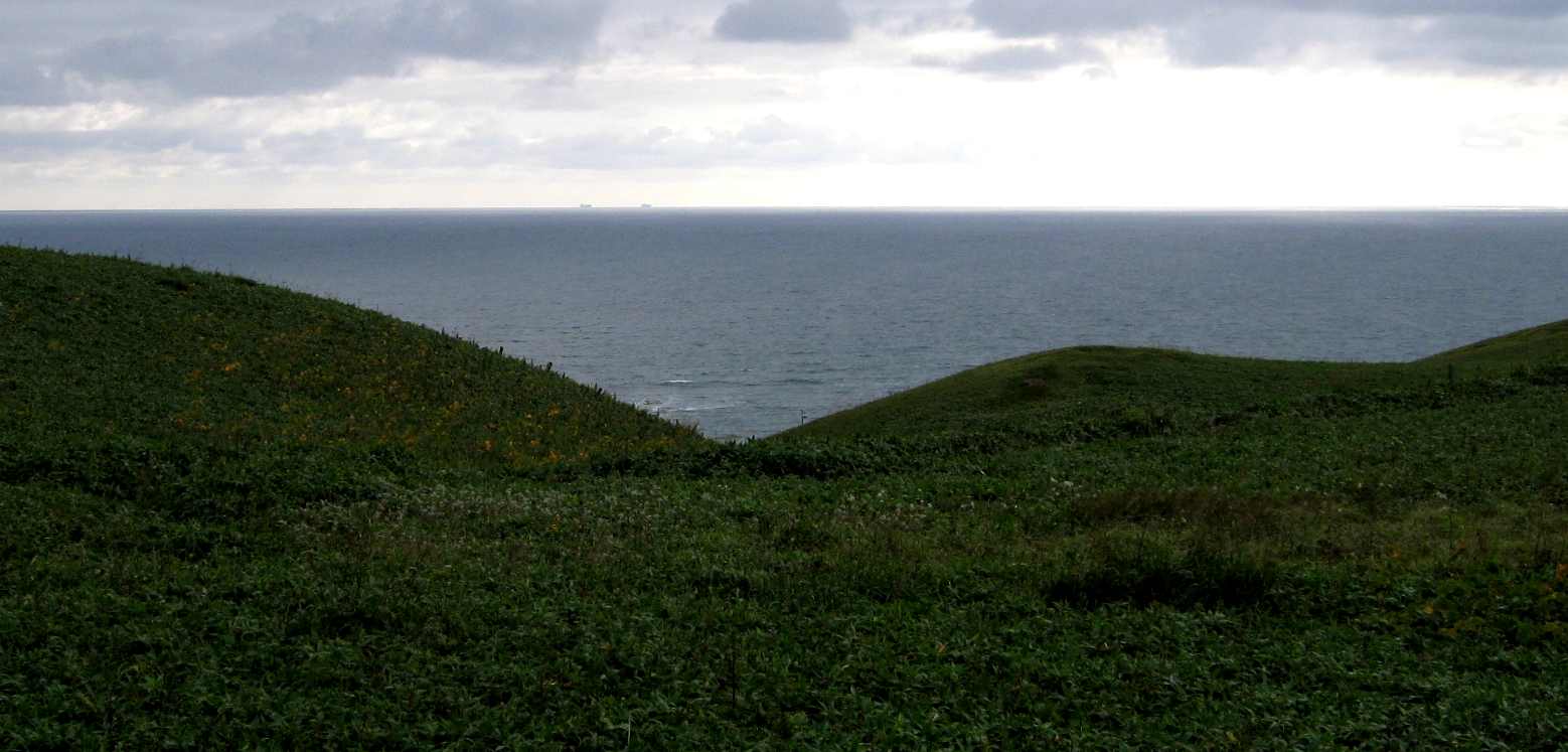 e0003910_17185312.jpg