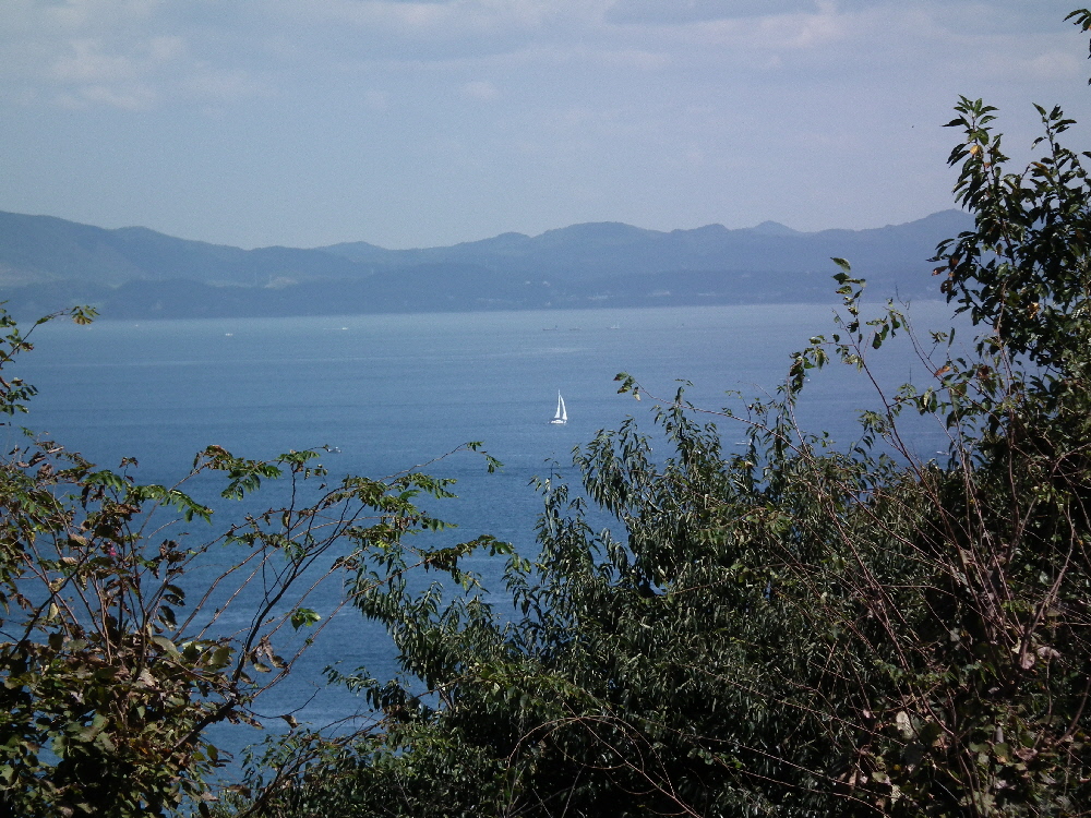 a0161111_1283794.jpg