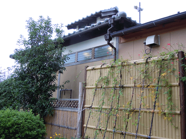b0159611_0101990.gif