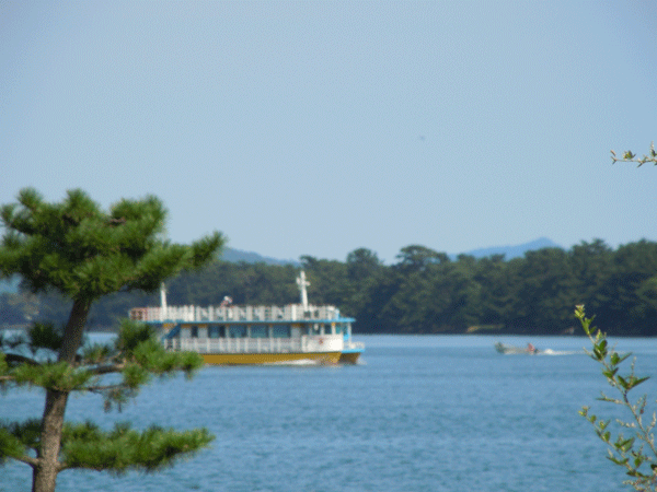 b0159611_083423.gif