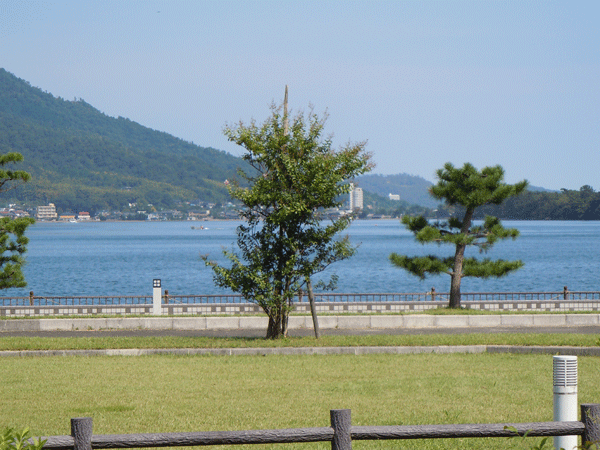 b0159611_091428.gif