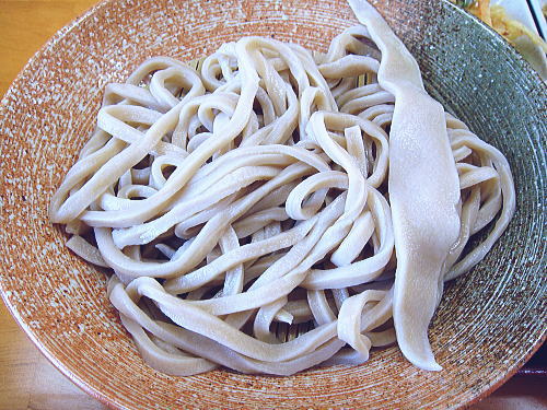 【休業】　手打うどん かすや 　入間市_c0113312_14183484.jpg