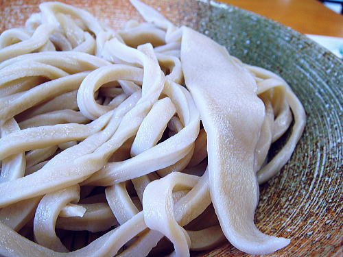 【休業】　手打うどん かすや 　入間市_c0113312_1418485.jpg