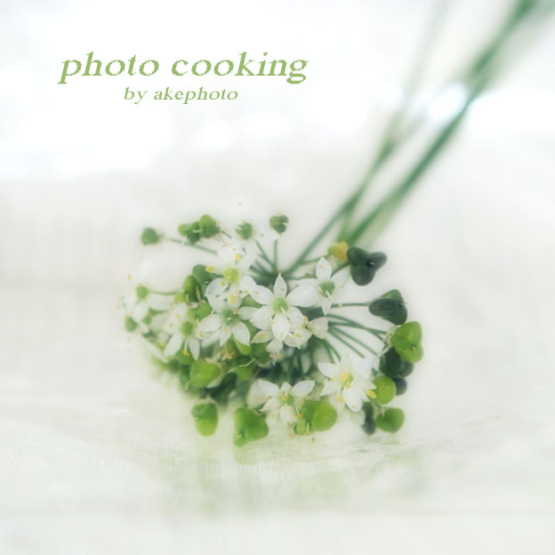 ニラの花_e0127416_1185451.jpg