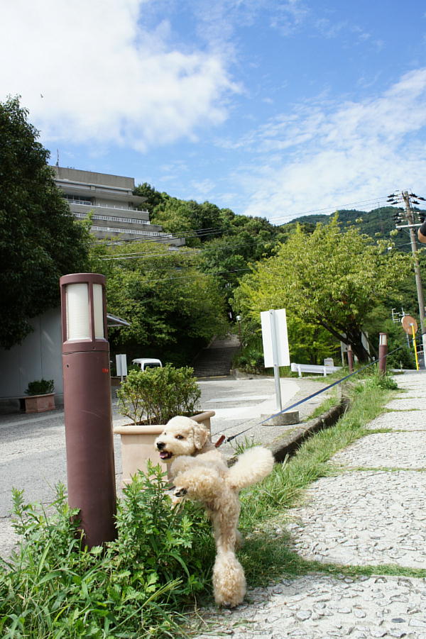 c0060920_801923.jpg