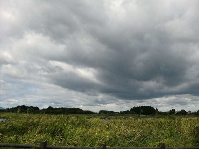 c0123029_9551120.jpg