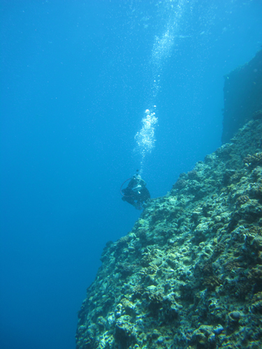9月28日透明度の良い海♪_c0070933_21314191.jpg