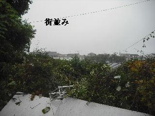 雨の作業_f0031037_18262292.jpg
