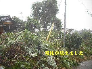 雨の作業_f0031037_1826843.jpg