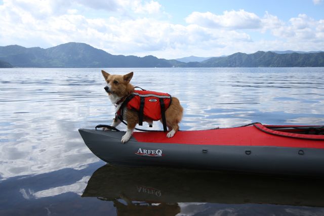 初秋の田沢湖カヌー犬日和_b0031538_2303120.jpg