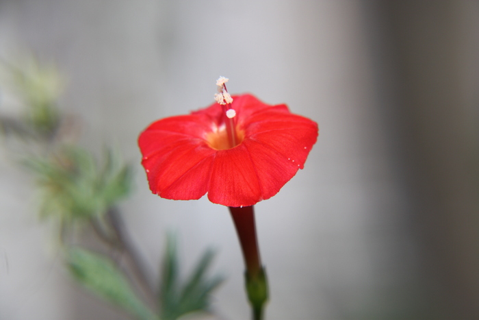a0116439_9534921.jpg