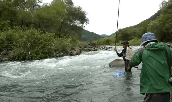 a0056140_16354996.gif