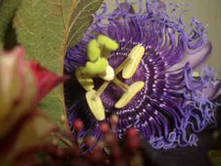 e0110940_23165968.jpg
