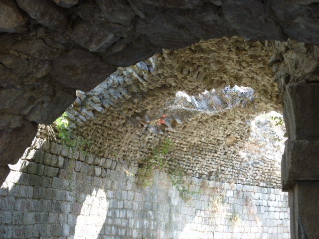 a0170045_1393372.jpg