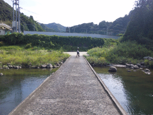 f0229250_7291692.gif