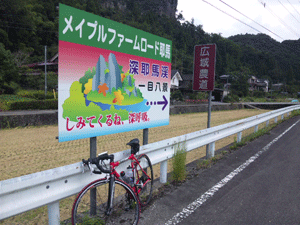 f0229250_7301817.gif