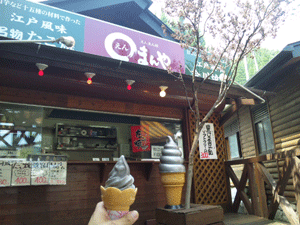 f0229250_7312255.gif