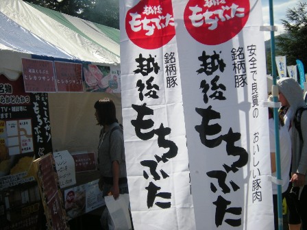 秋桜マラソン2010_f0196455_1444215.jpg