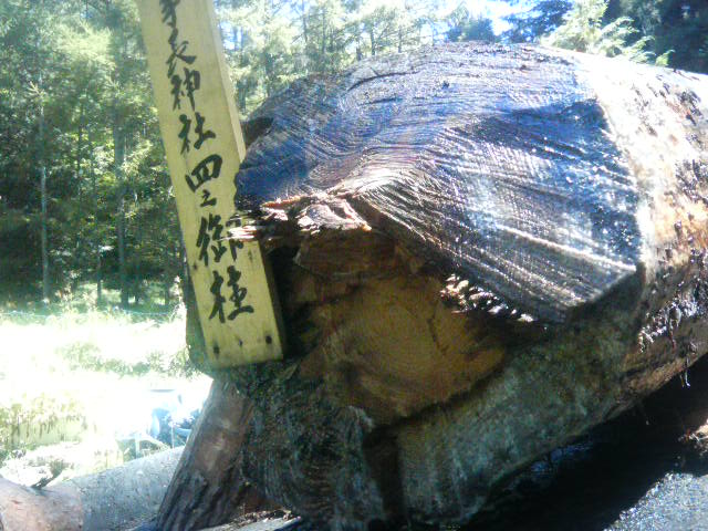 f0051256_8291969.jpg