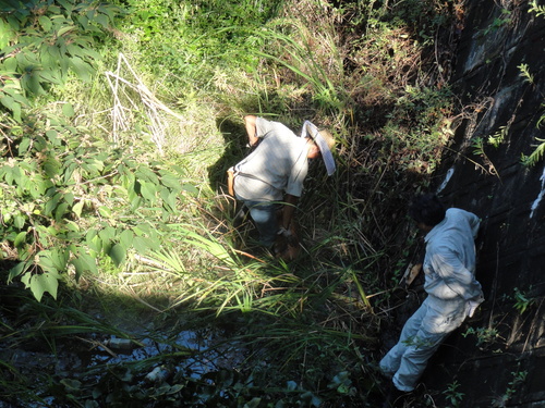 岬高校の遊水プール調査_c0108460_18302790.jpg