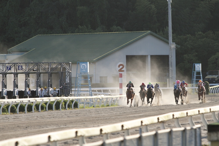 2010年9月25日（土） 高知競馬 2R 福山・高知連携 騎手交流第十六戦 C3-6_a0077663_1658583.jpg